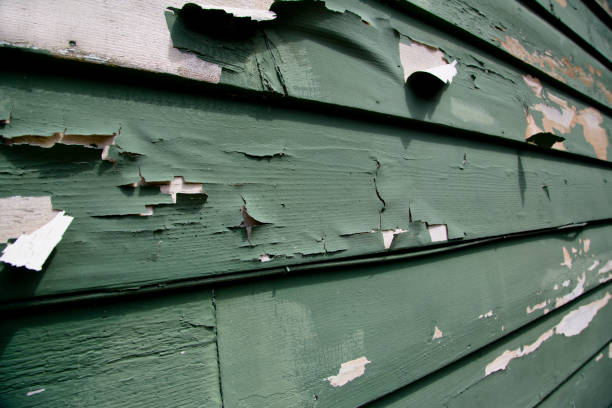 Trusted Parker, TX Junk Removal Experts